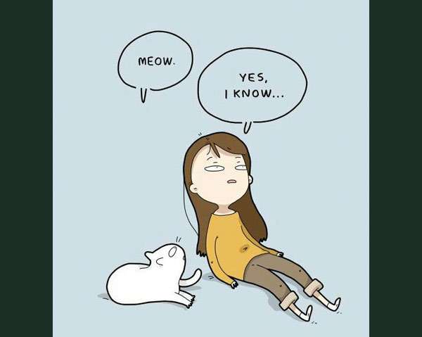 yes i know cat  comic