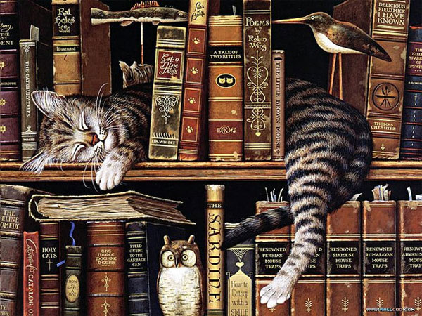 bookshelf cat art