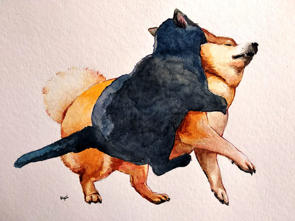 cat attacks dog art