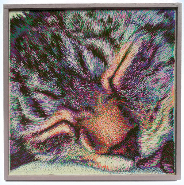 cat face sleeping art