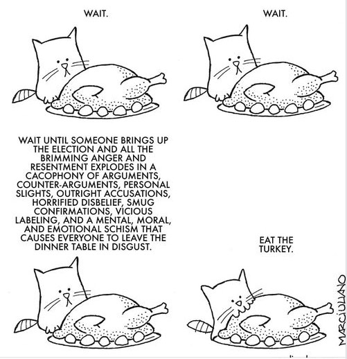 cat eat turkey comic