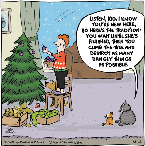cat and christmas tree comic