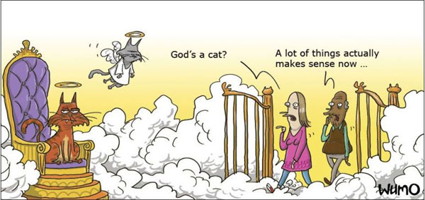 god is a cat comic