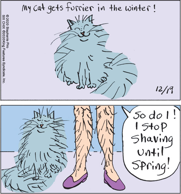 hairy legs and cats comic
