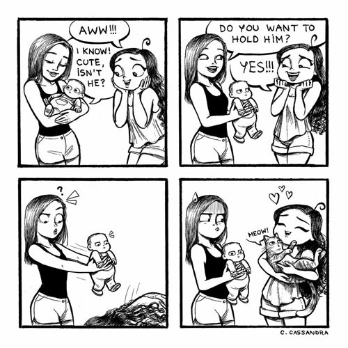hold the kitty comic