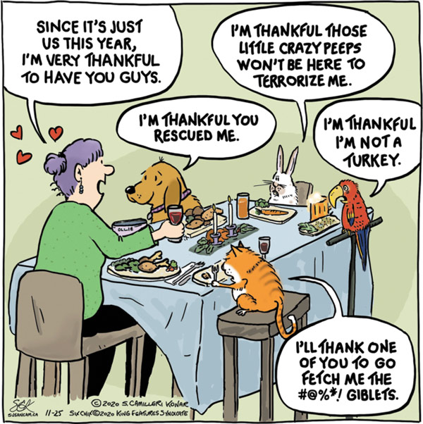 pets at thanksgiving comic