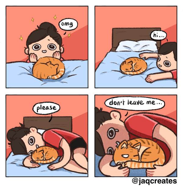 woman loves her cat comic