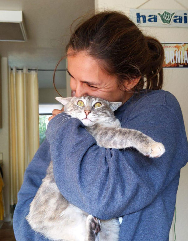 cat being hugged