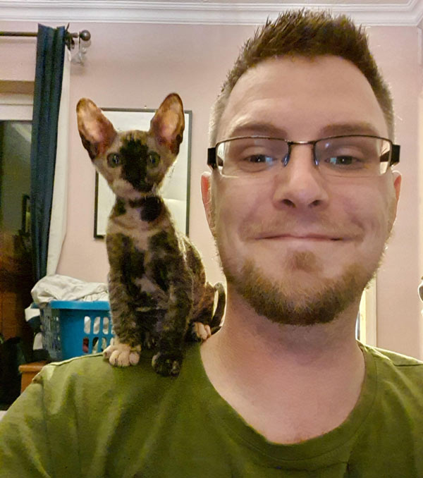 kitten with big ears sitting on shoulder