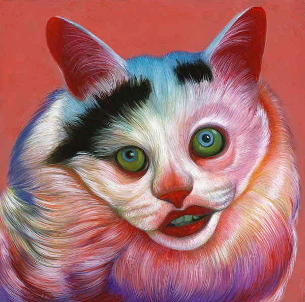 bizarre cat art