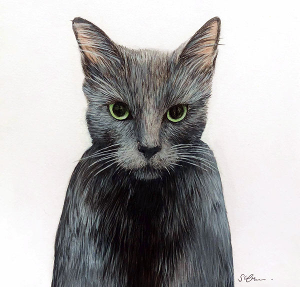 cat with green eyes art