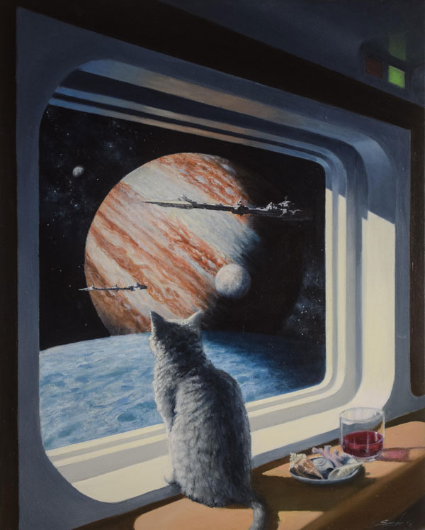 cat looking out at space