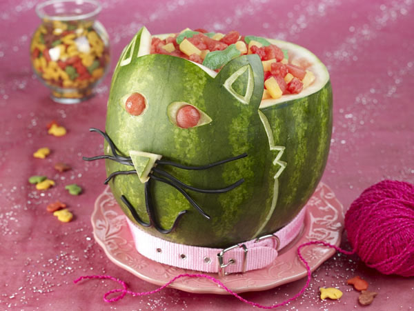 watermelon cat art