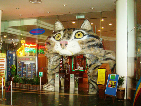 cat museum door