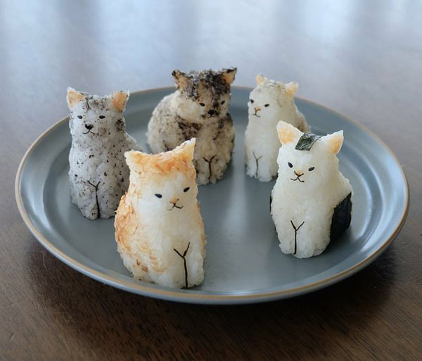 cat rice cakes