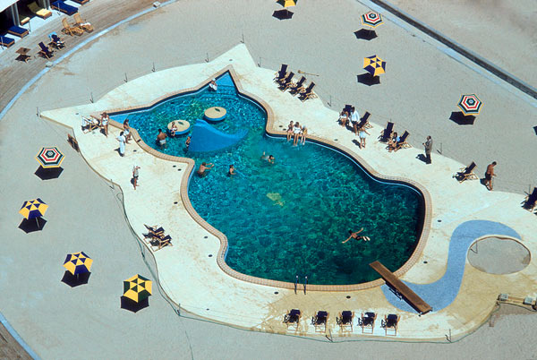 cat-shaped swimming pool