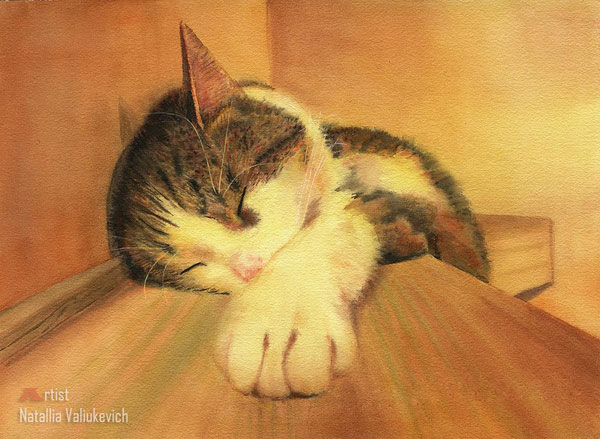 cat sleeping art