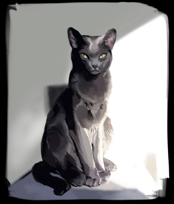 light study of cat art