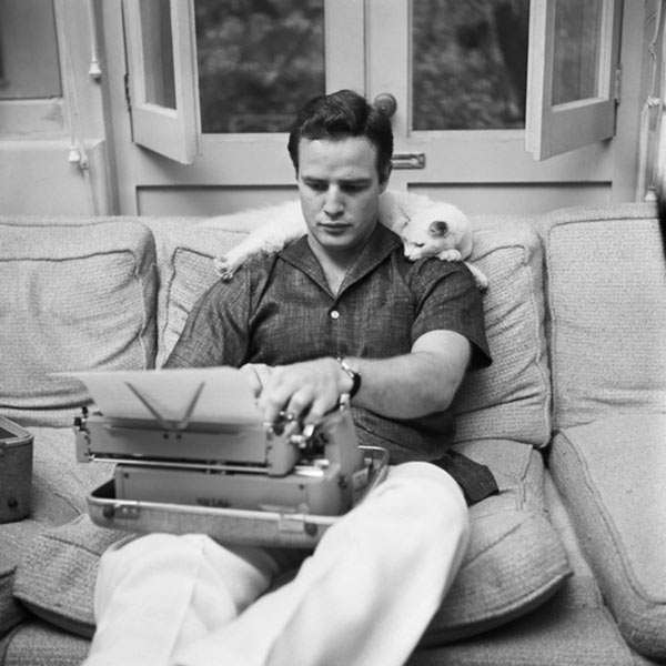 marlon brando and his cats