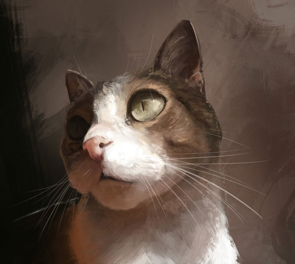 cat oil painting