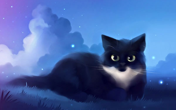 cosmic cat art