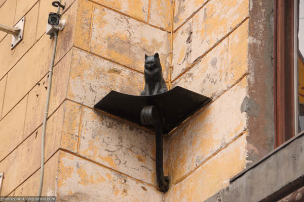 cat art in St. Petersburg
