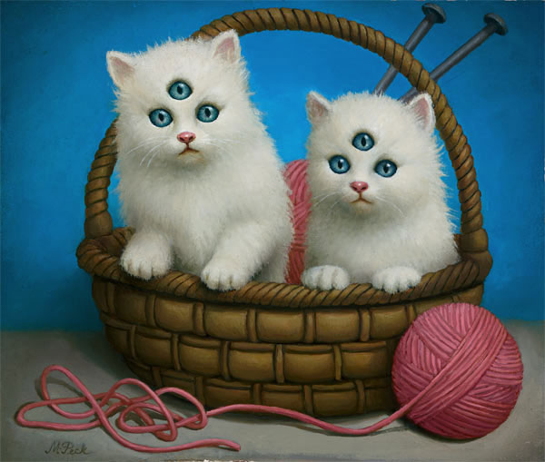 cats with three eyes art