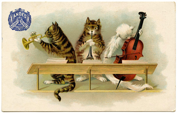 vintage cat postcard