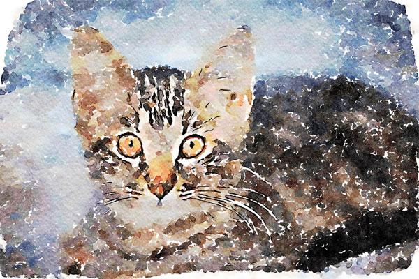 watercolor cat art