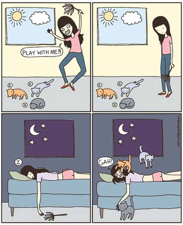 cats at night comic