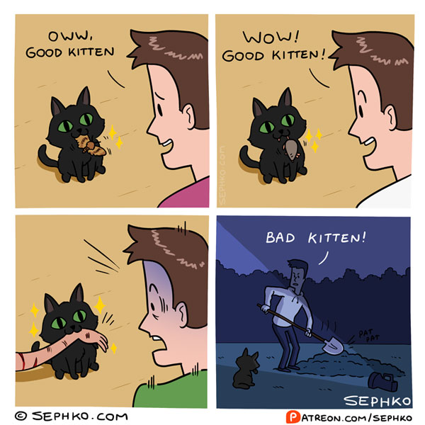 bad kitten comic