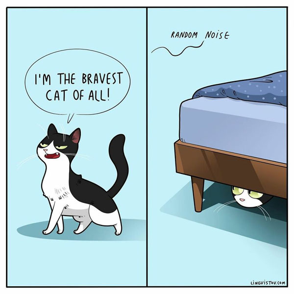 bravest cat comic