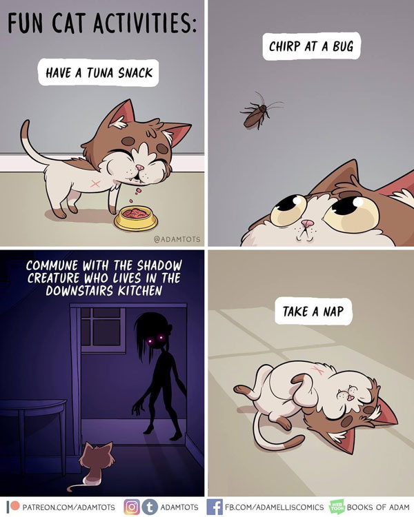 cat activity comic