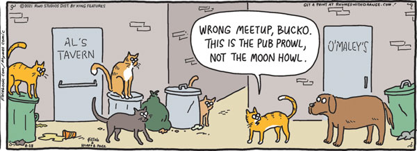 alley cat meet-up comic