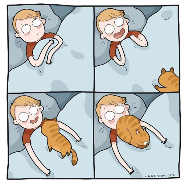 cat butt comic