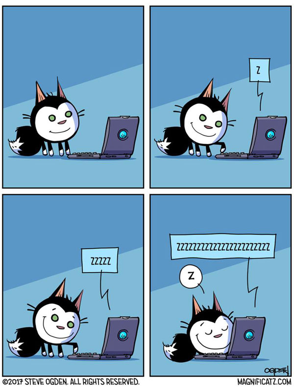 cat comouter sleep comic