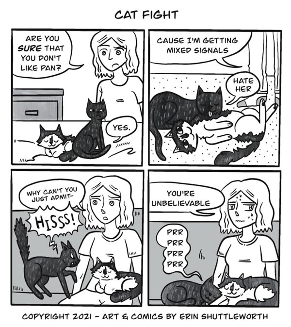 cat fight comic