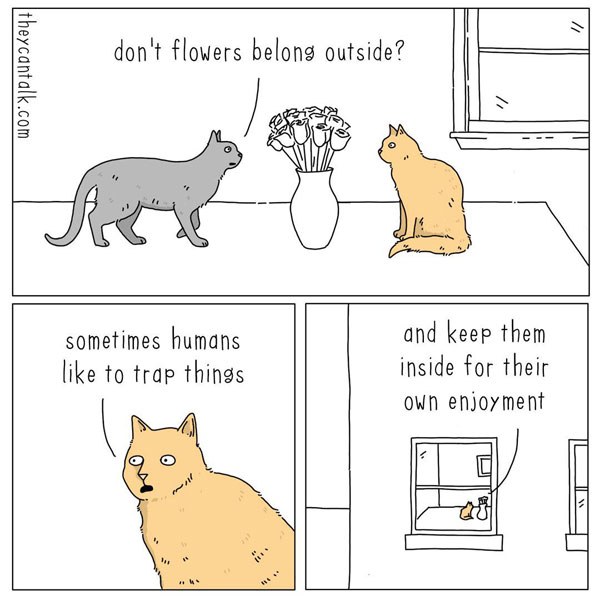 cats and flowers comic