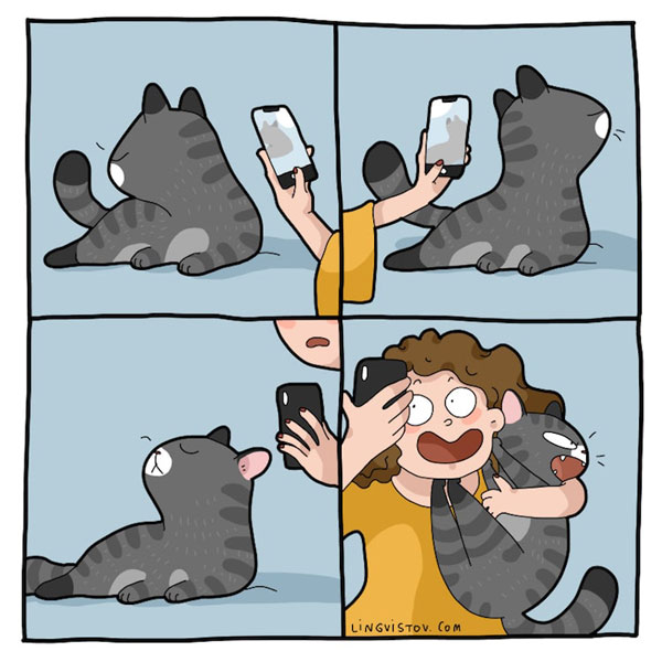 cat hates selfies comic