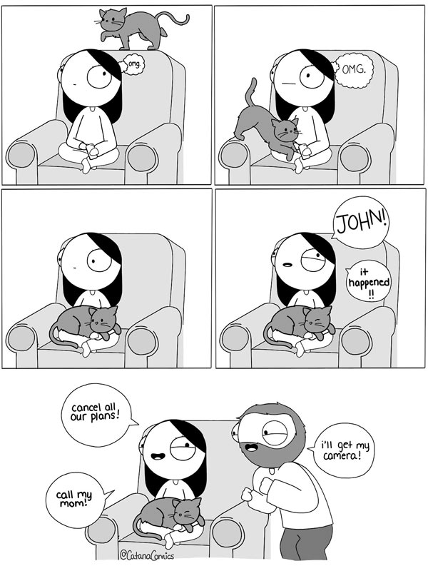 cat in lap comic