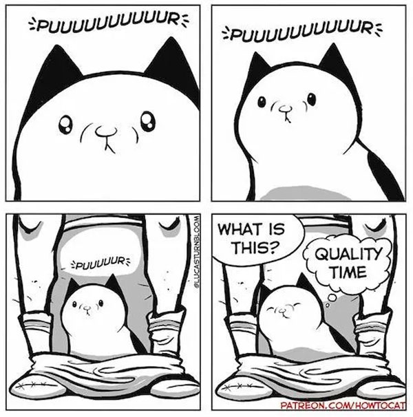 cat in ubderpants comic