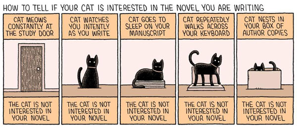 cat hates your novel comic
