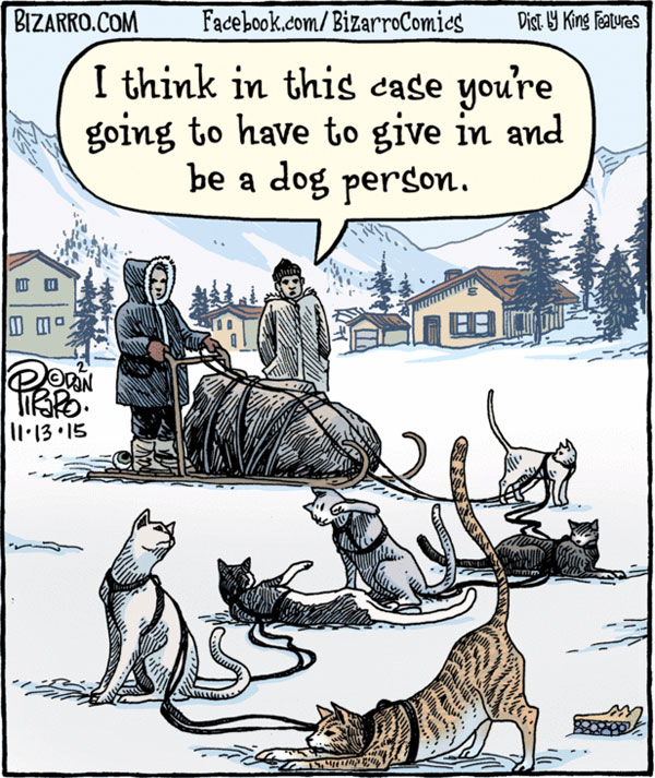 cat sled comic