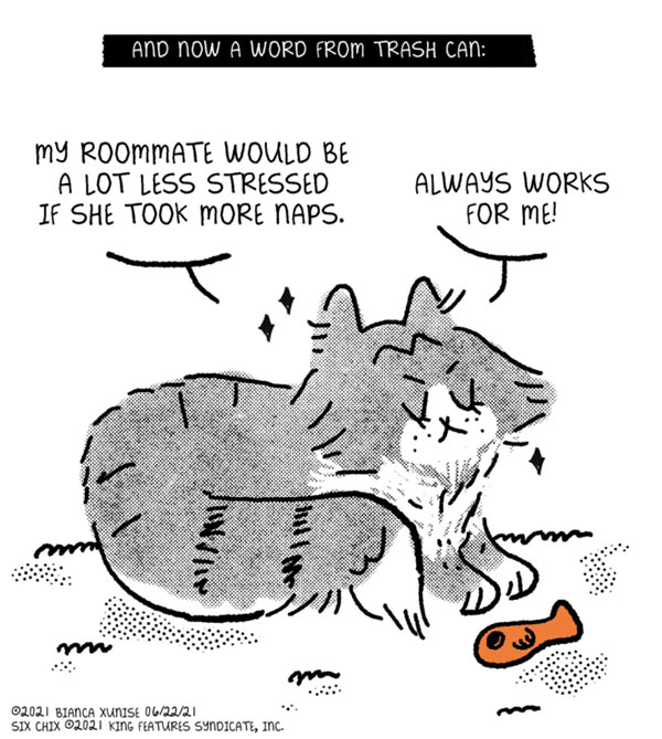 cat naps comic