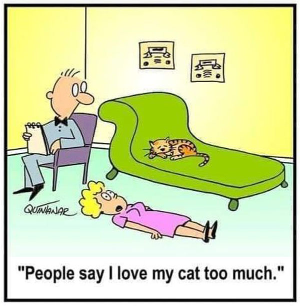 cat and psychiatrist comic