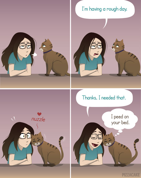 cat pee comic