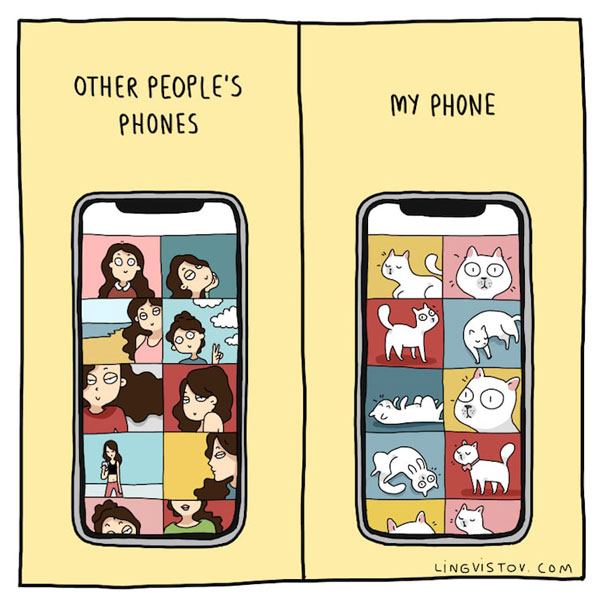 cat pictures on phone comic