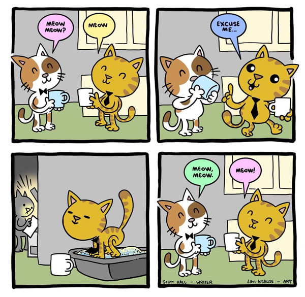 cat bathroom break comic