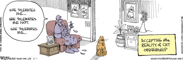 realities of cat ownership comic