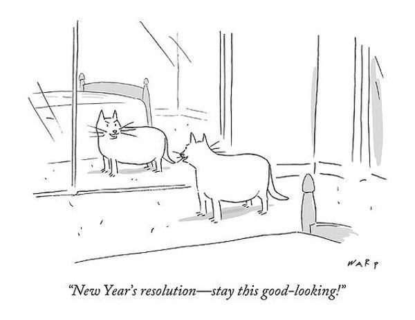 cat new years resolution comic